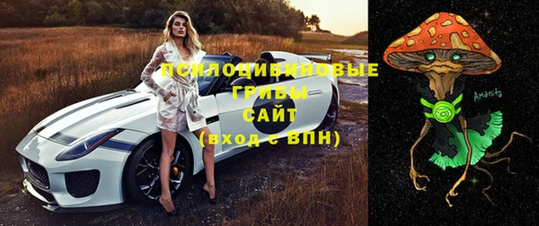 эйфоретик Заводоуковск