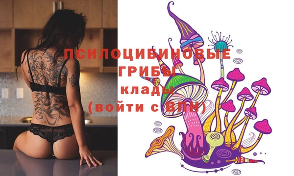 эйфоретик Заводоуковск