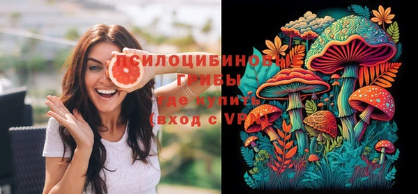 эйфоретик Заводоуковск
