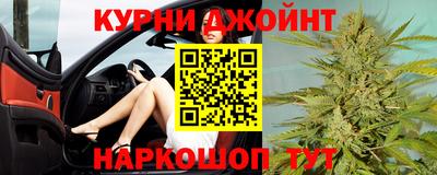ПСИЛОЦИБИНОВЫЕ ГРИБЫ Новозыбков