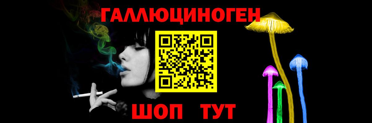 Снежинск  Псилоцибиновые грибы Psilocybine cubensis  Вход с VPN 